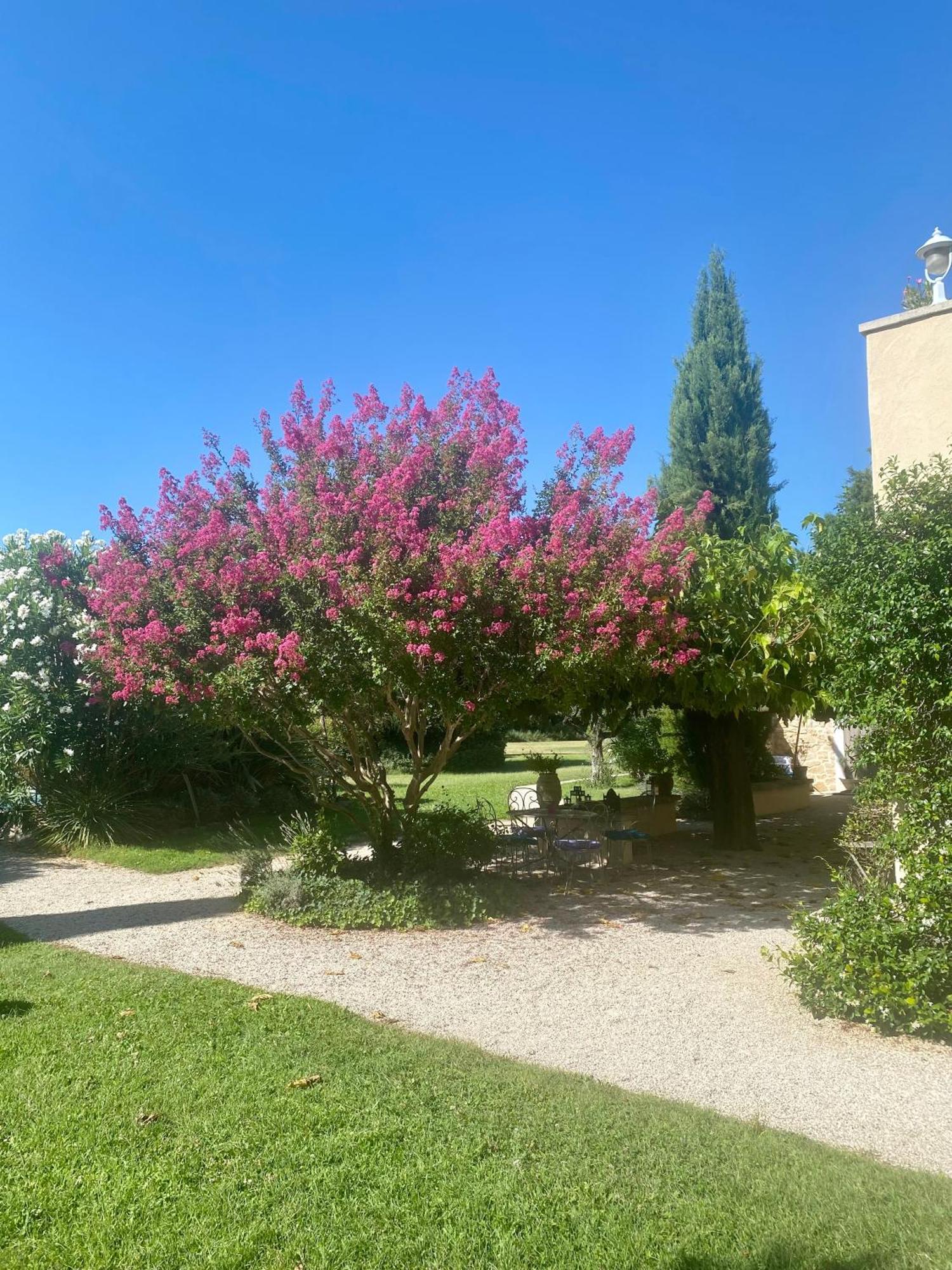 Mas Les Fleurs D'Hilaire Bed and Breakfast Monteux Exteriör bild